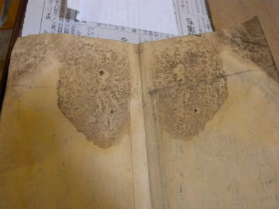 浸水によりカビの生えた文化財